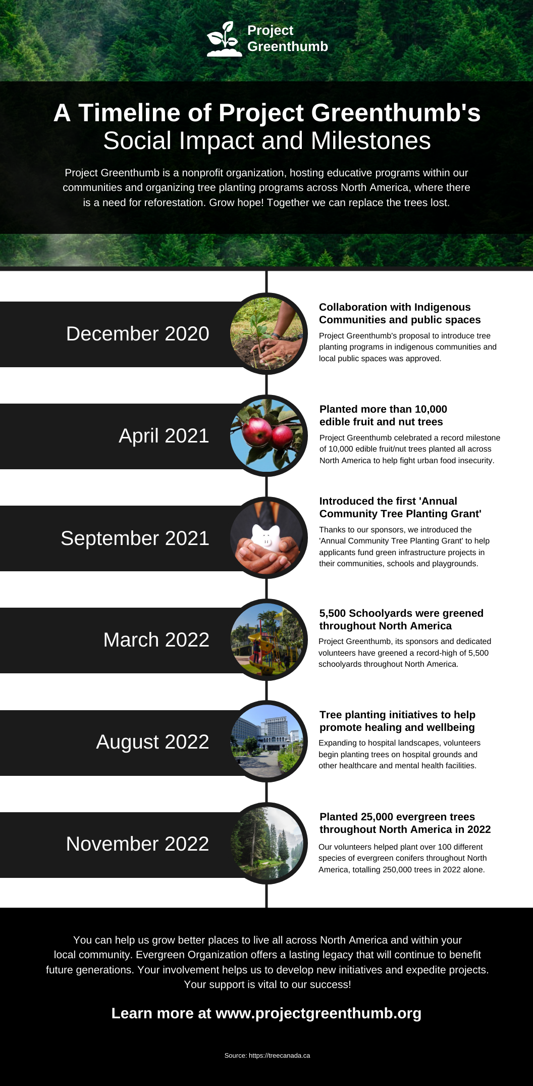 Environmental Nonprofit Timeline Infographic Template