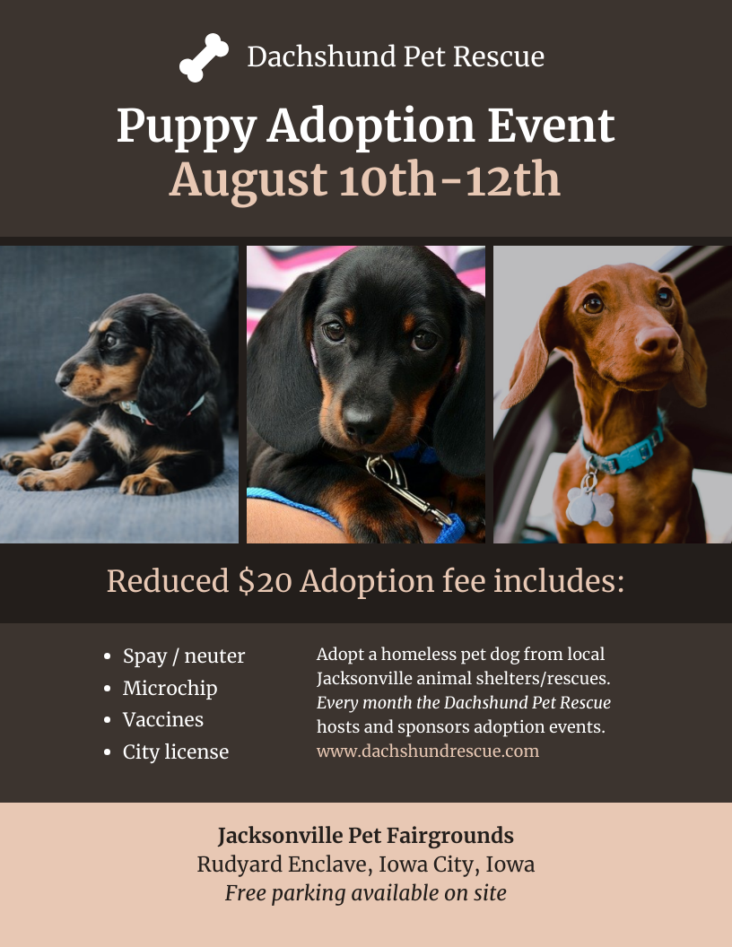 Nonprofit Pet Adoption Event Poster